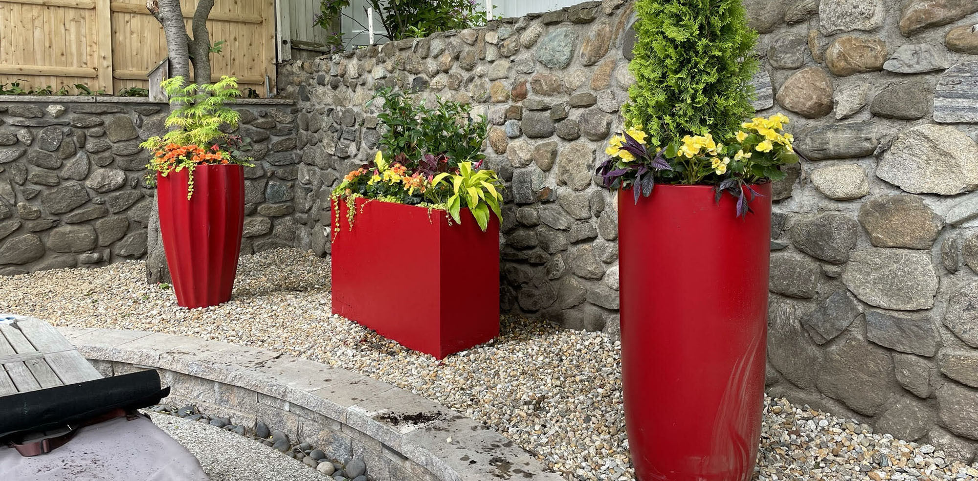 Indoor Plants Store -Indoor Plants Store 4