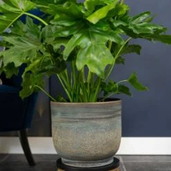 Aico Plant Pot - Shiny Blue -Indoor Plants Store Aico shiny blue 02