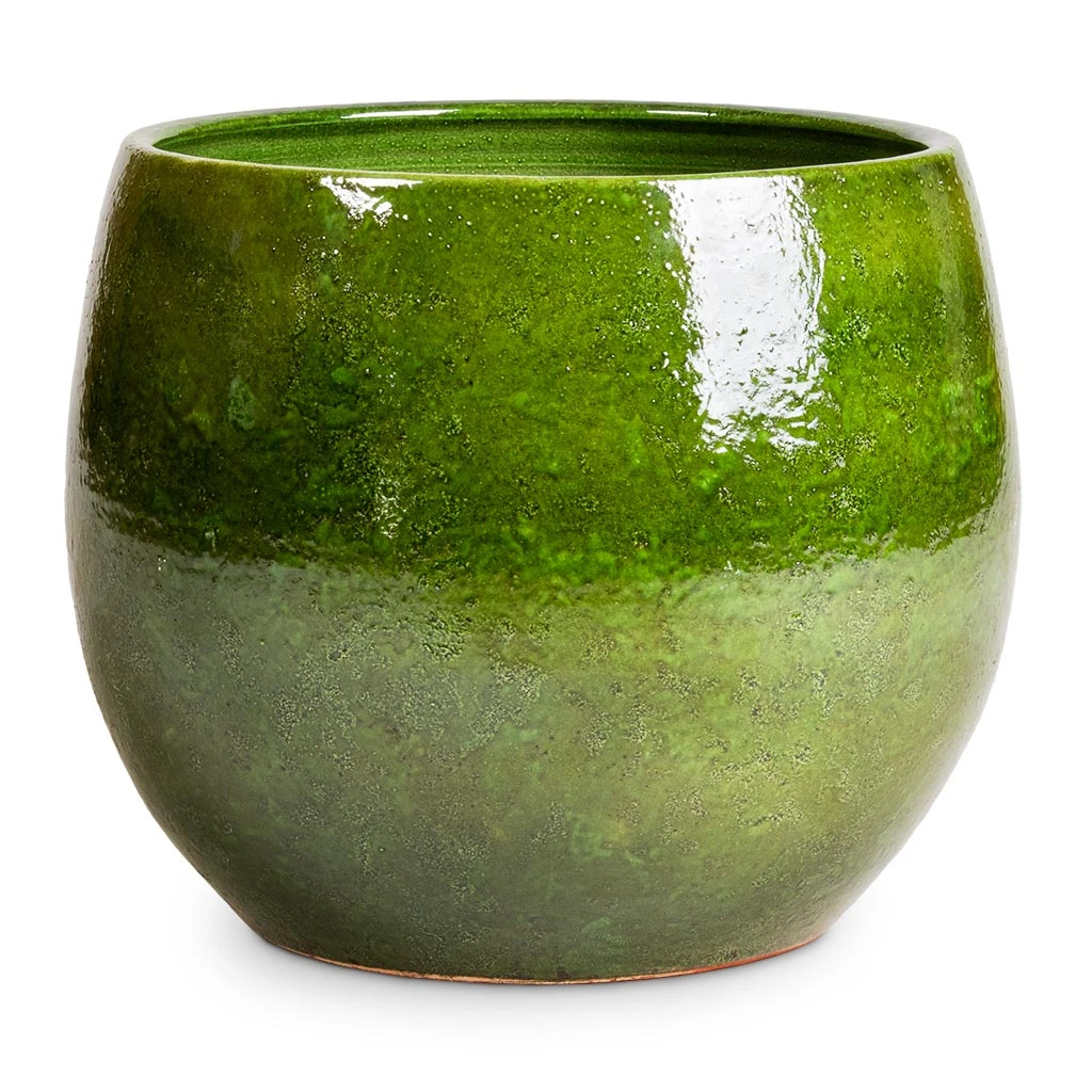 Aimee Plant Pot - Pear 2 Aimee Plant Pot - Pear