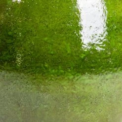 Aimee Plant Pot - Pear 24 Aimee Plant Pot - Pear -Indoor Plants Store Aimee Plant Pot Pear SWATCH2