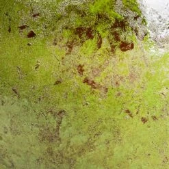 Aimee Plant Pot - Pear 25 Aimee Plant Pot - Pear -Indoor Plants Store Aimee Plant Pot Pear SWATCH3