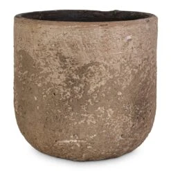 Albero Plant Pot - Cement 16 Albero Plant Pot - Cement -Indoor Plants Store Albero Plant Pot Cement 16x14cm c1509482 b7a3 4670 8e6e 570ba6012564