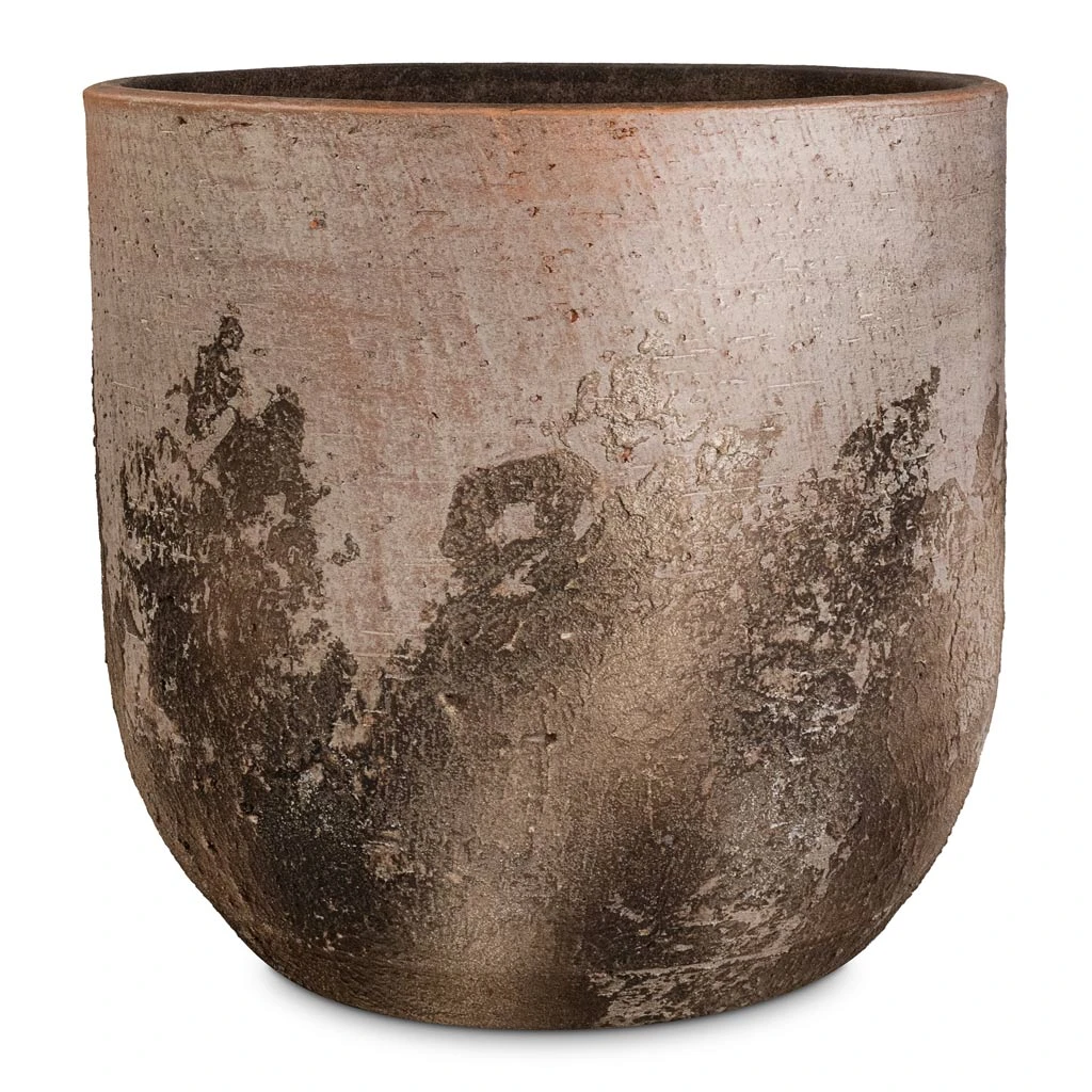 Albero Plant Pot - Cement 9 Albero Plant Pot - Cement - Image 7