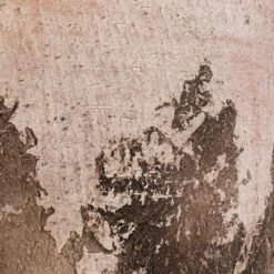 Albero Plant Pot - Cement 23 Albero Plant Pot - Cement -Indoor Plants Store Albero Plant Pot Cement DETAIL