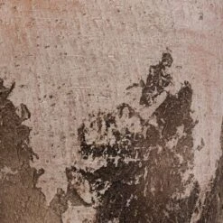 Albero Plant Pot - Cement 22 Albero Plant Pot - Cement -Indoor Plants Store Albero Plant Pot Cement DETAIL d465160c 8621 4f6c 825c 263e6430a47d