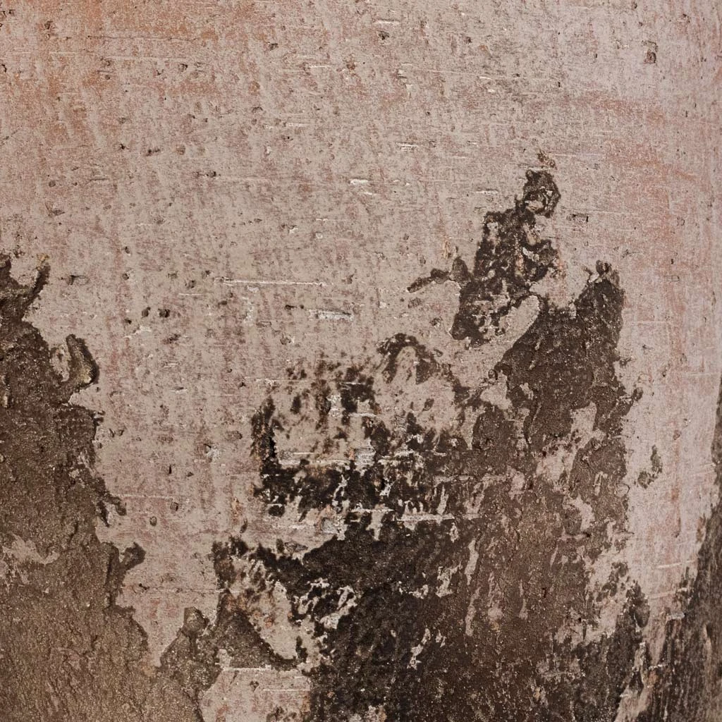 Albero Plant Pot - Cement 12 Albero Plant Pot - Cement - Image 10