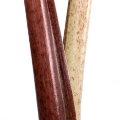 Alocasia Yucatan Princess - Elephant Ear 21 Alocasia Yucatan Princess - Elephant Ear -Indoor Plants Store Alocasia Yucatan Princess Elephant Ear Close Up 002