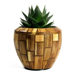 Facets Couple Planter - Jenga -Indoor Plants Store Aloe aristata Cosmo Facets Couple Planter Jenga