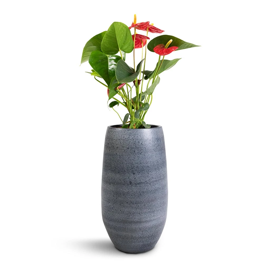 Esra Plant Vase - Mystic Grey 5 Esra Plant Vase - Mystic Grey - Image 3