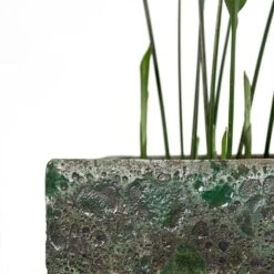Lava Cube Relic Planter - Jade 26 Lava Cube Relic Planter - Jade -Indoor Plants Store Aspidistra Cast Iron Plant Lava Cube Relic Planter Jade Close Up