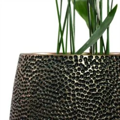 Opus Hit Darcy Planter - Gold 32 Opus Hit Darcy Planter - Gold -Indoor Plants Store Aspidistra Cast Iron Plant Opus Hit Darcy Planter Gold Close Up