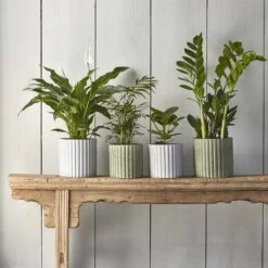 Azalea Ribbed Plant Pot - Speckled Green Stone -Indoor Plants Store Azalea Ribbed Plant Pot Speckled Green Grey Stone