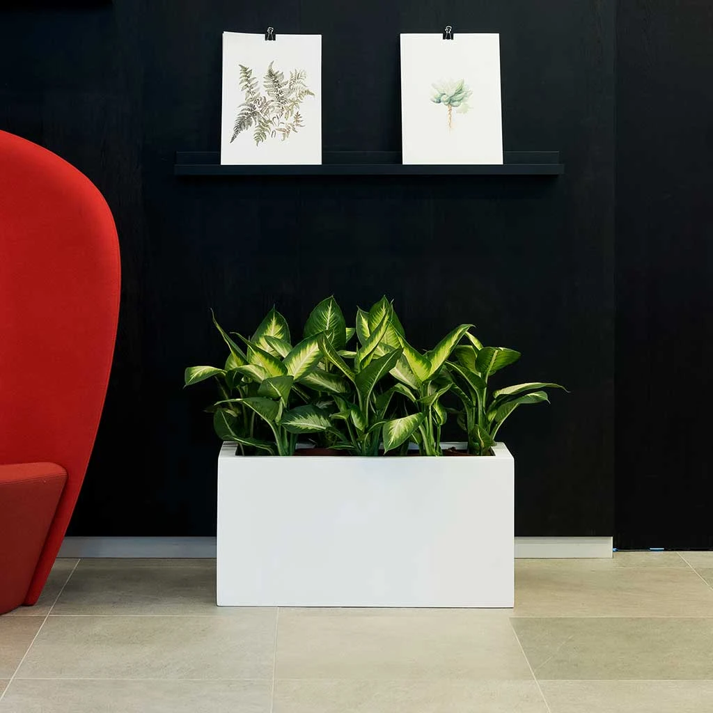 Balcony Planter - Matt White 4 Balcony Planter - Matt White - Image 2