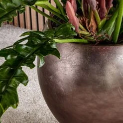 Metallic Globe Plant Pot - Matt Coffee -Indoor Plants Store Baq Metallic Silver leaf Globe Elevated Matt Coffee 2