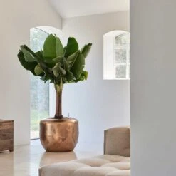 Opus Raw Couple Planter - Gold -Indoor Plants Store Baq Opus Raw Couple Gold 2