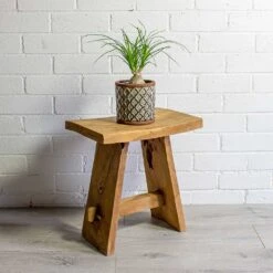 Beaucarnea - Pony Tail Palm - Orb -Indoor Plants Store Beaucarnea Pony Tail Palm Orb liam grey plant pot natural 75c4d917 b2bf 49b7 be25 2fc18a3f2ba9