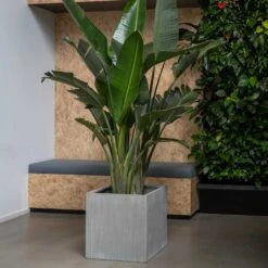 Block Planter - Ridged Cement -Indoor Plants Store Block Planter Ridged Cement 4