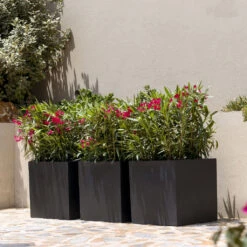 Block Natural Planter - Black -Indoor Plants Store BlockNaturalPlanter Black 2