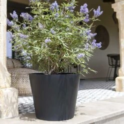 Bucket Natural Planter - Black 20 Bucket Natural Planter - Black -Indoor Plants Store Bucket Natural Planter Black 2