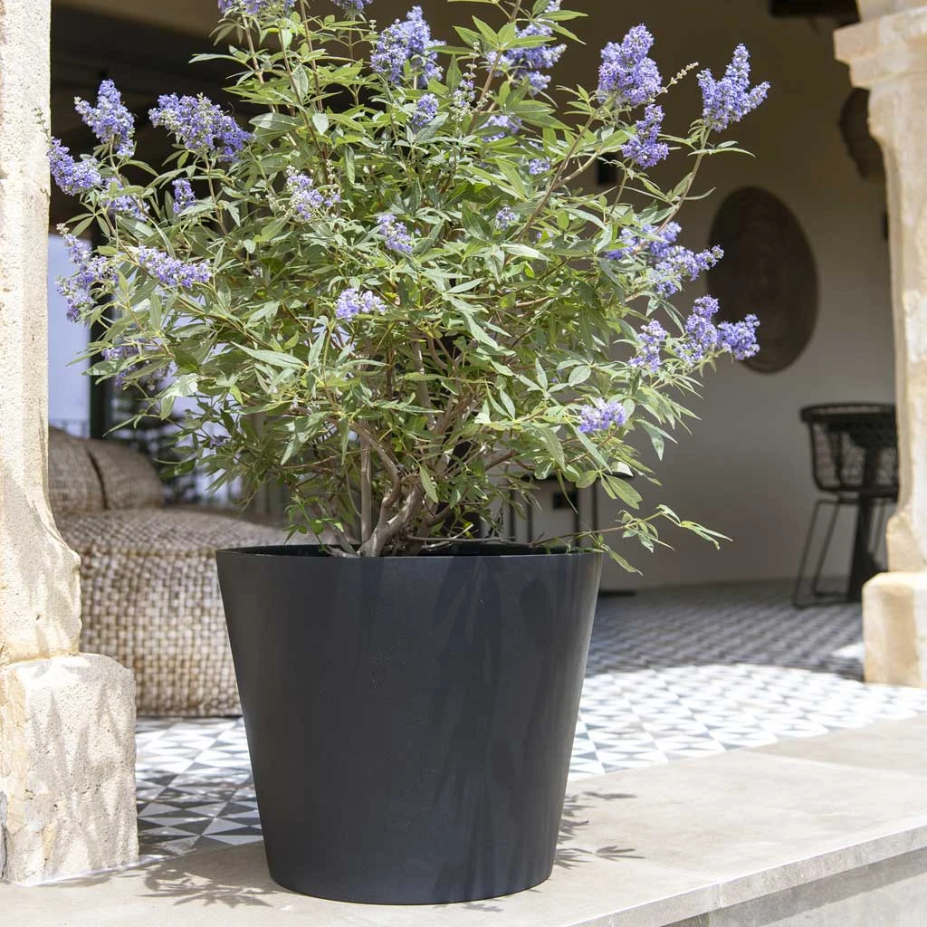 Bucket Natural Planter - Black 11 Bucket Natural Planter - Black - Image 9