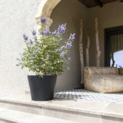 Bucket Natural Planter - Black 17 Bucket Natural Planter - Black -Indoor Plants Store Bucket Natural Planter Black 3