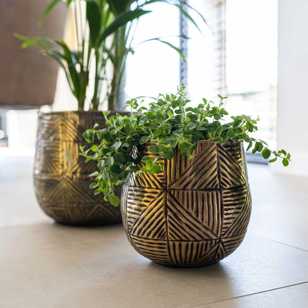 Calvin Metal Plant Pots - Set Of 3 - Matt Gold 10 Calvin Metal Plant Pots - Set Of 3 - Matt Gold - Image 8