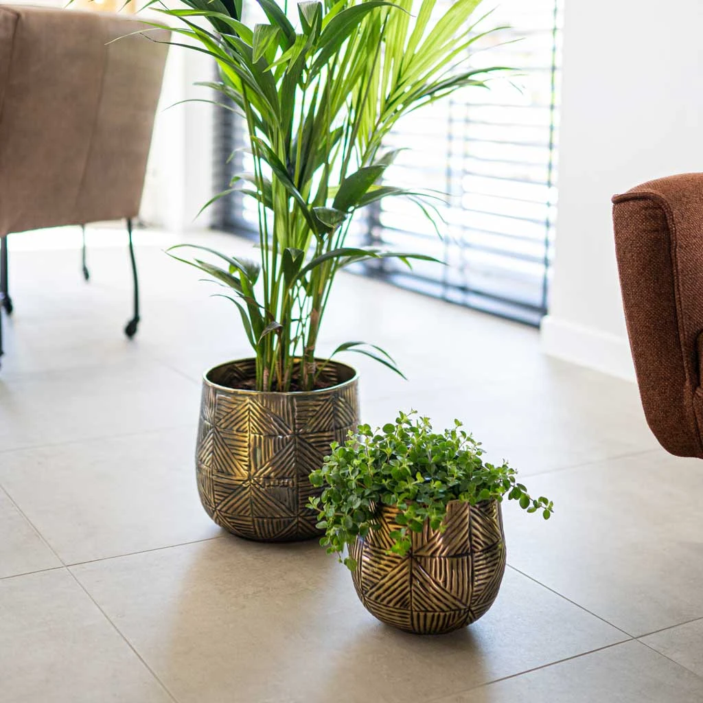 Calvin Metal Plant Pots - Set Of 3 - Matt Gold 12 Calvin Metal Plant Pots - Set Of 3 - Matt Gold - Image 10