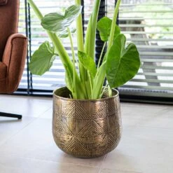 Calvin Metal Plant Pots - Set Of 3 - Matt Gold 20 Calvin Metal Plant Pots - Set Of 3 - Matt Gold -Indoor Plants Store Calvin Metal Plant Pots Set of 3 Matt Gold 4