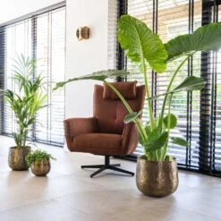 Calvin Metal Plant Pots - Set Of 3 - Matt Gold 18 Calvin Metal Plant Pots - Set Of 3 - Matt Gold -Indoor Plants Store Calvin Metal Plant Pots Set of 3 Matt Gold 6