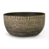 Cas Plant Bowl - Sahara 1 Cas Plant Bowl - Sahara -Indoor Plants Store Cas Plant Bowl Sahara 28x13cm