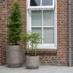 Harith Cement & Stone Plant Pot - Granite Grey -Indoor Plants Store Cement Stone Harith Plant Pot lifestyle