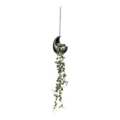 Gradient Hanging Cocoon - Matt Grey -Indoor Plants Store Ceropegia woodii String of Hearts 14x30cm Gradient Hanging Cocoon Matt Grey 20x24cm 03e38a11 3501 47b7 9e74 1b9b36316eba