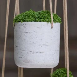 Charlie Hanging Plant Pot - Grey Washed -Indoor Plants Store Charlie Hanging Plant Pot Grey Washed