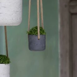 Charlie Hanging Plant Pot - Black Washed -Indoor Plants Store Charlie Hanging Plant Pots Black Washed Houseplants