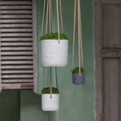 Charlie Hanging Plant Pot - Grey Washed -Indoor Plants Store Charlie Hanging Plant Pots Houseplants