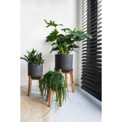 Charlie Plant Pot - Tall Stand - Black Washed -Indoor Plants Store Charlie Plant Pot Tall Stand Black Washed Lifestyle 02