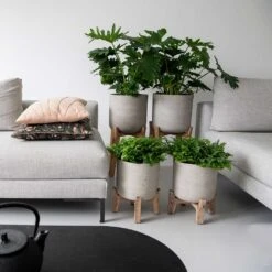 Charlie Plant Pot - Tall Stand - Grey Washed -Indoor Plants Store Charlie Plant Pot Tall Stand Grey Washed Lifestyle 02