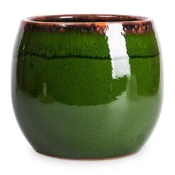 Charlotte Plant Pot - Green -Indoor Plants Store Charlotte Plant Pot Green 19x16cm