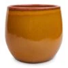 Charlotte Plant Pot - Spiced Ochre -Indoor Plants Store Charlotte Plant Pot Ochre 23x20cm
