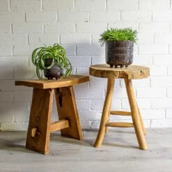 Senecio Himalaya - Himalaya Groundsel -Indoor Plants Store Chlorophytum Bonnie Curly Spider Plant Senecio Himalaya Himalaya Groundsel Denise Plant Pot Blue Bronze deff1630 c6f8 4ee2 baf3 32fc8f3696f7