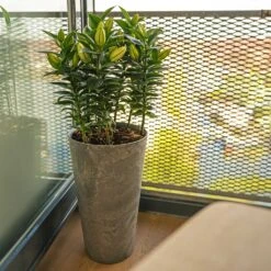 Claire Artstone Tall Planter - Grey -Indoor Plants Store Claire Artstone Tall Planter Grey 4