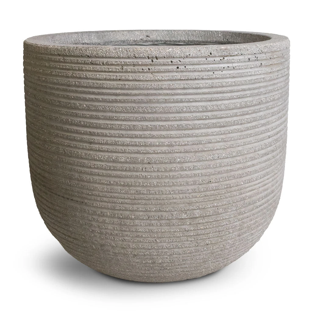 Cody Plant Pot - Ridged Cement 5 Cody Plant Pot - Ridged Cement - Image 3