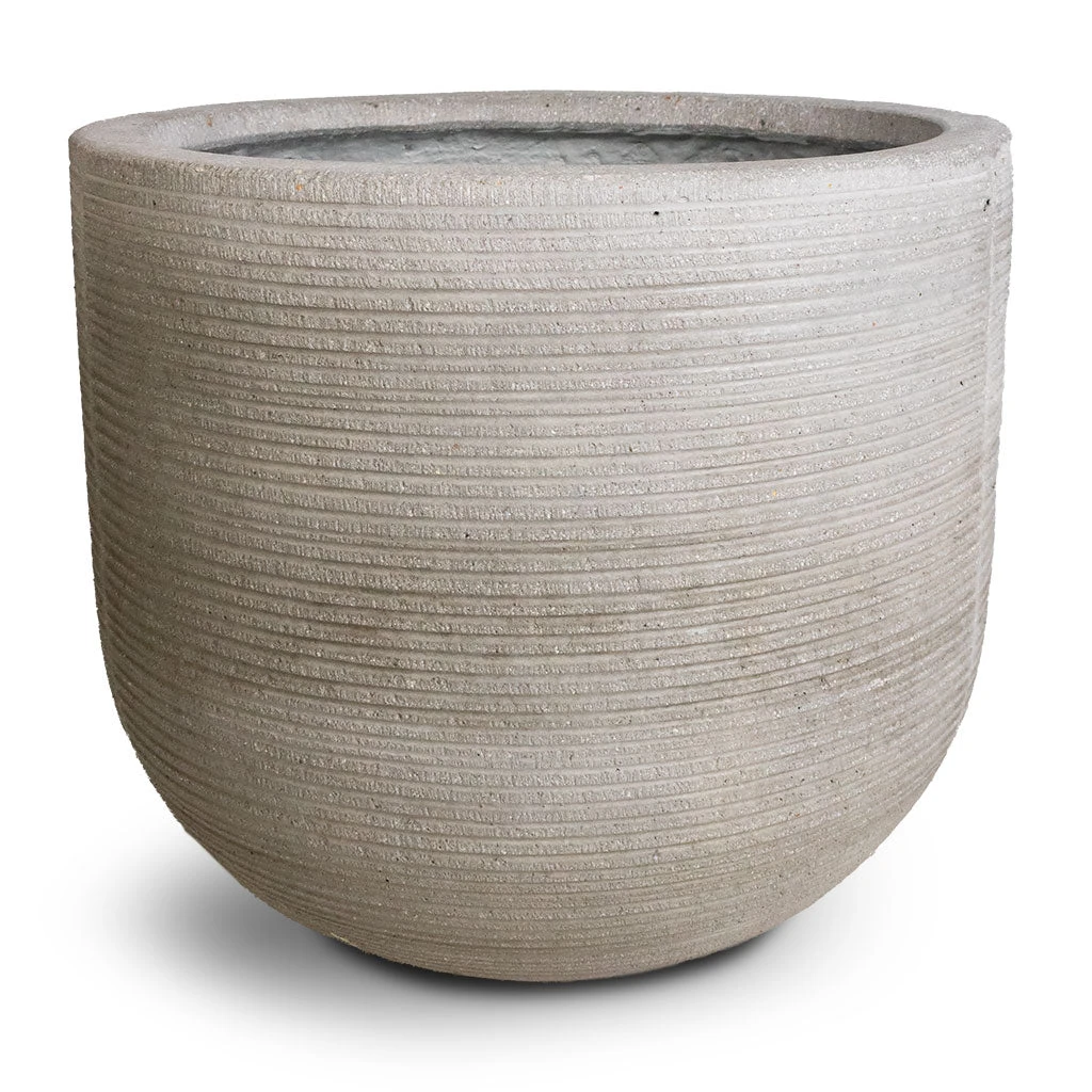 Cody Plant Pot - Ridged Cement 7 Cody Plant Pot - Ridged Cement - Image 5