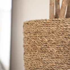 Cody Plant Pot - Straw Grass -Indoor Plants Store Cody Plant Pot Straw Grass 3