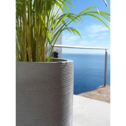 Cody Plant Vase - Ridged Dark Grey -Indoor Plants Store Cody Tall Planter Ridged Dark Grey Areca Palm