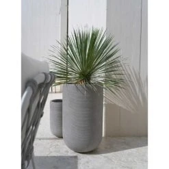 Cody Plant Vase - Ridged Dark Grey -Indoor Plants Store Cody Tall Planter Ridged Dark Outdoor Palm