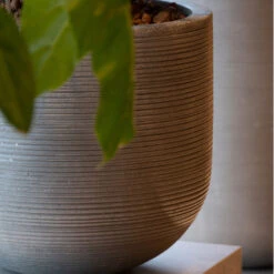 Cody Plant Pot - Ridged Dark Grey 23 Cody Plant Pot - Ridged Dark Grey -Indoor Plants Store CodyPlantPot RidgedDarkGrey 1