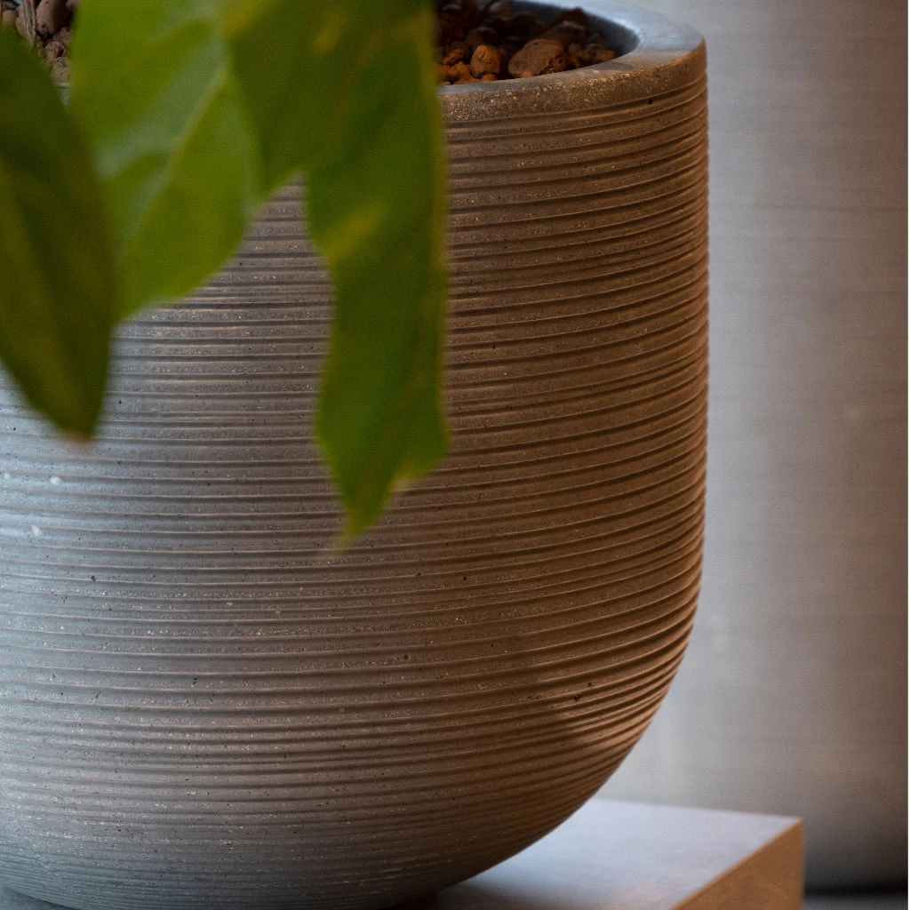 Cody Plant Pot - Ridged Dark Grey 9 Cody Plant Pot - Ridged Dark Grey - Image 7