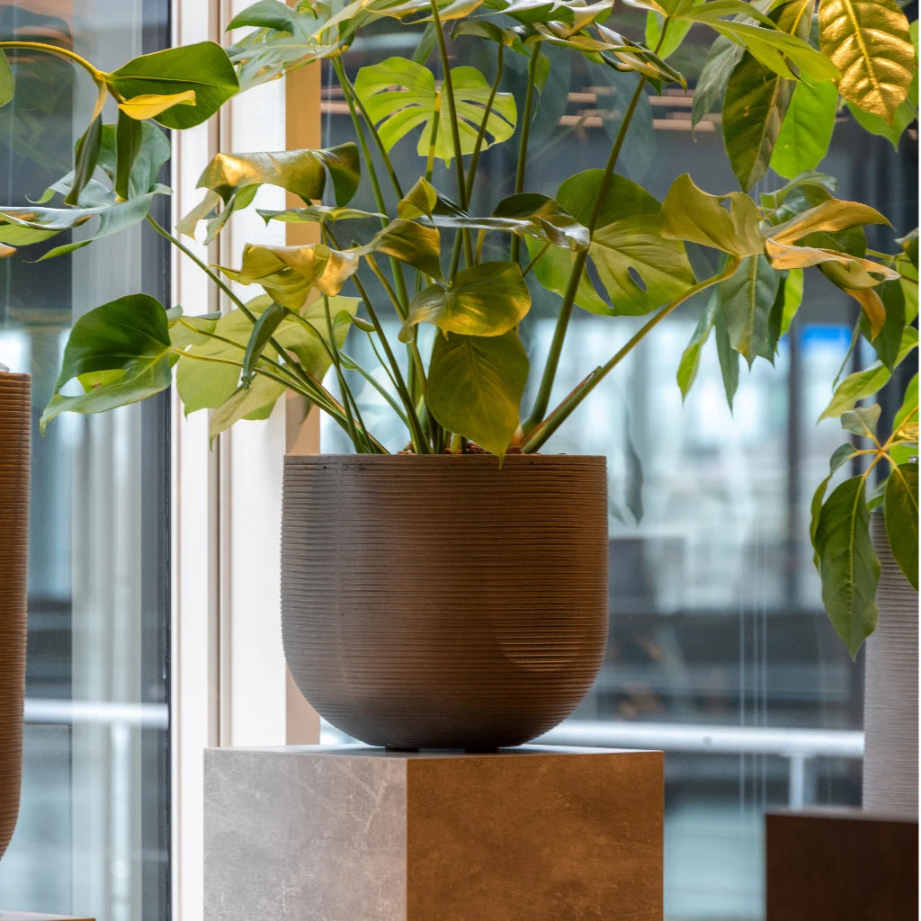 Cody Plant Pot - Ridged Dark Grey 14 Cody Plant Pot - Ridged Dark Grey - Image 12