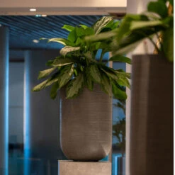 Cody Plant Vase - Ridged Dark Grey -Indoor Plants Store CodyPlantVase RidgedDarkGrey 6